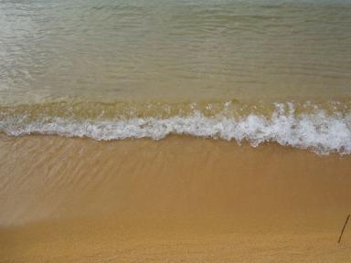 wave