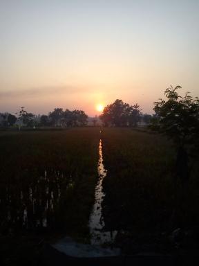 sunrise