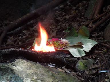 offering