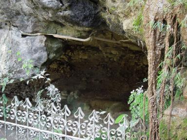 guaselarong2