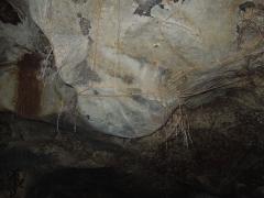 116056
