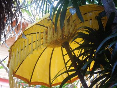 umbrella