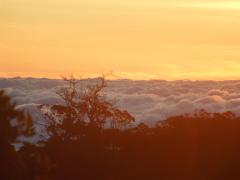 116195