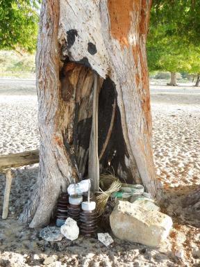 store-tree