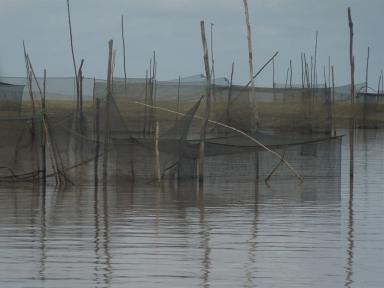 nets