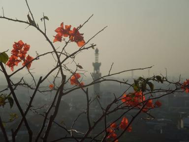 mosqueandflowers