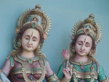 templemaidens
