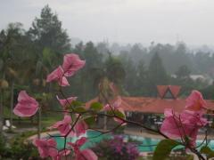 117125