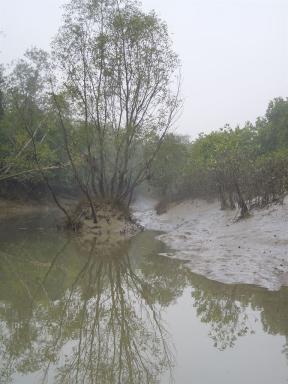 mud