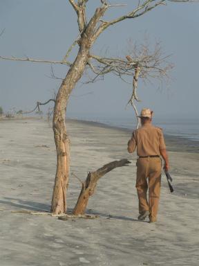 rangeronbeach