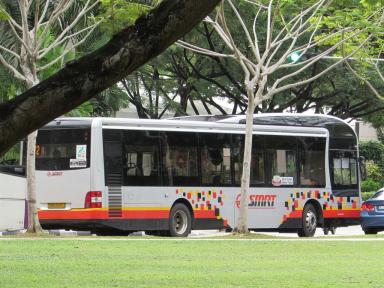 bus
