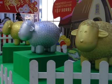 sheep