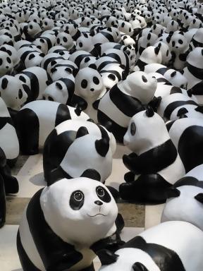 panda1