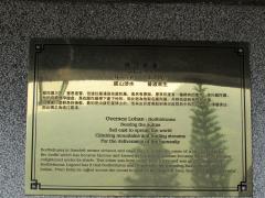 117936
