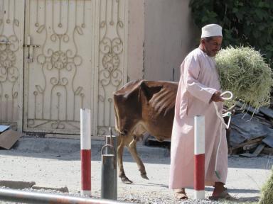 omanscene