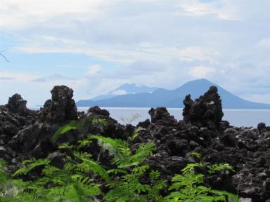 batuangus