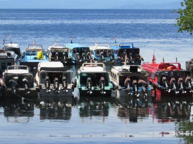 boats