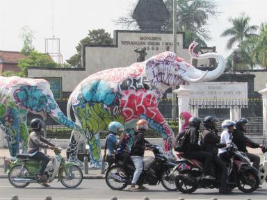 elephants