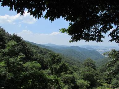 mountain