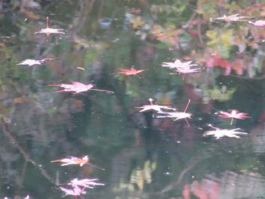 pond2