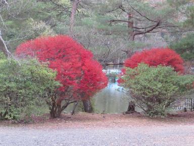 colours0