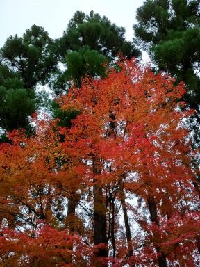 colours1