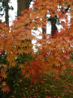 colours2