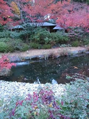 pond1
