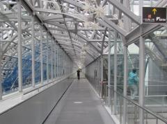 120065