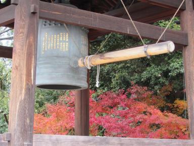 redleaves2