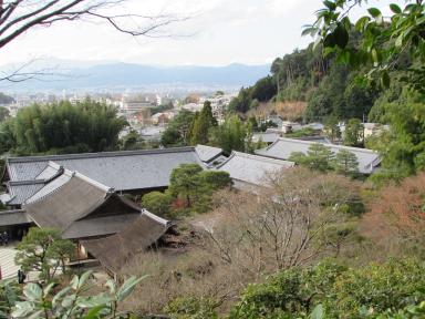 view