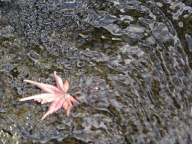 himejileaf&rock