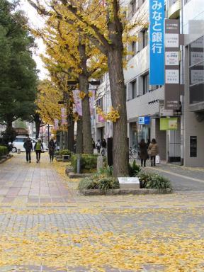 himejileaves1
