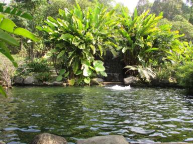 pond