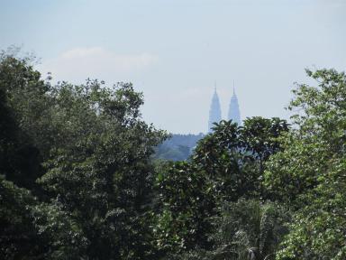 towers