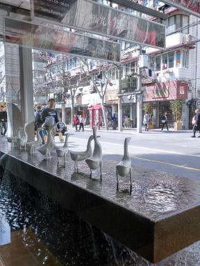 ducks