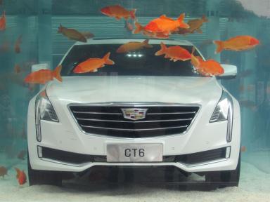 cadillac