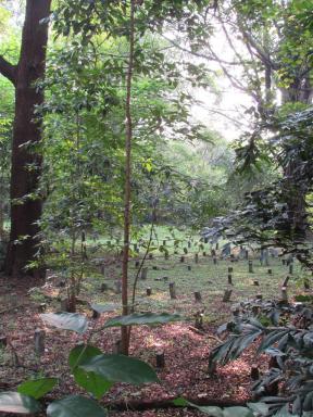 graves1