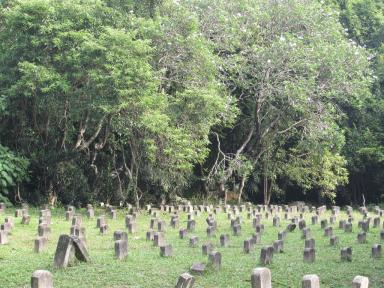 graves3