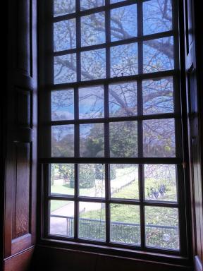window