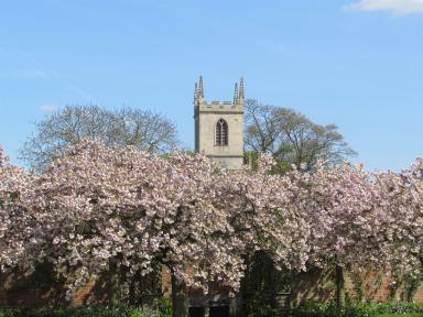blossomchurch