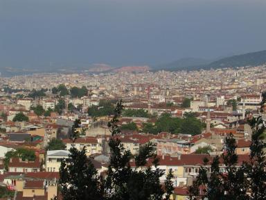 view
