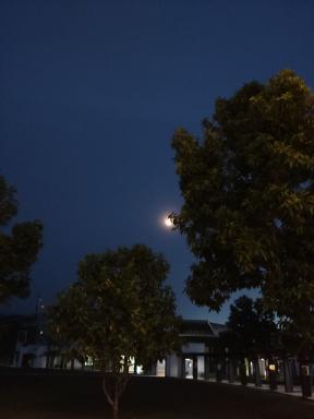 moon