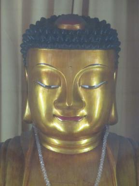 buddha
