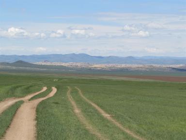 tracks
