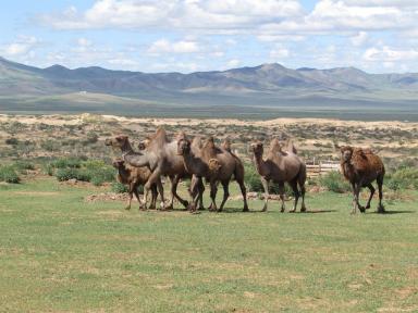 mongolia1