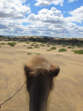 mongolia3