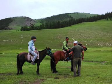 mongoliahorse