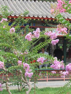 zhongshan