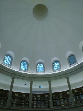 rotundain